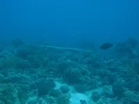 Egipt_2008