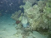 Egipt_2008