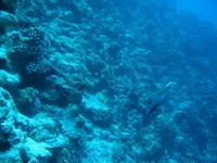 Egipt_2010