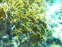 Egipt_2010