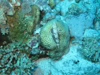 Egipt_2010